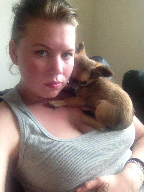 Chihuahua Diva - Mors lille putte trold :D billede 10