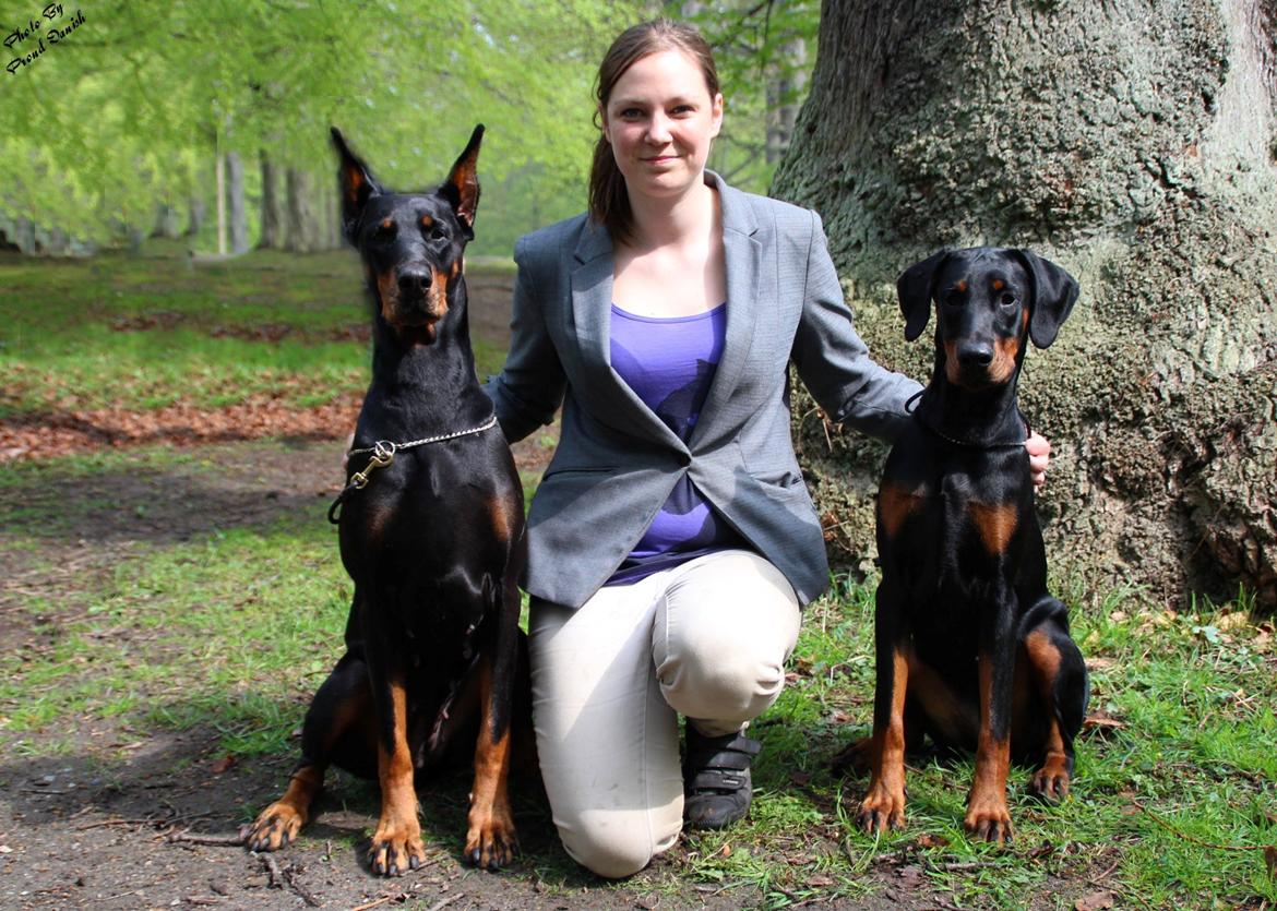 Dobermann Legrant Land Bohema Born - Bakken 2013, billede taget af Kristine W. Genning billede 5
