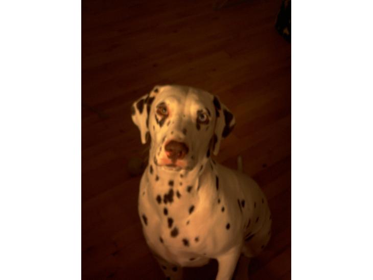 {{currentPhoto.altText}} billede {{currentPhoto.number}}