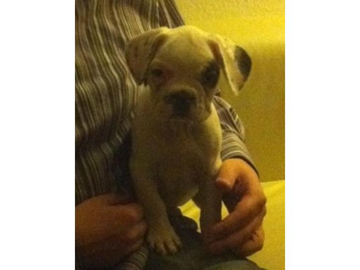 {{currentPhoto.altText}} billede {{currentPhoto.number}}