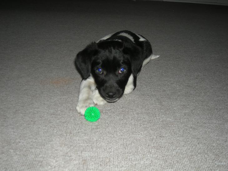 {{currentPhoto.altText}} billede {{currentPhoto.number}}