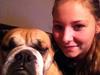 Engelsk bulldog Bella