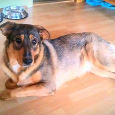 Blanding af racer kayla 