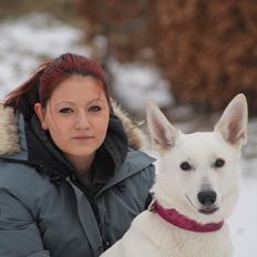 Hvid schæfer Zenta ( The Don )