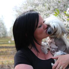 Chinese crested hårløs * STELLA*