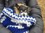 Chihuahua Dyrlægegårdens Alf <333