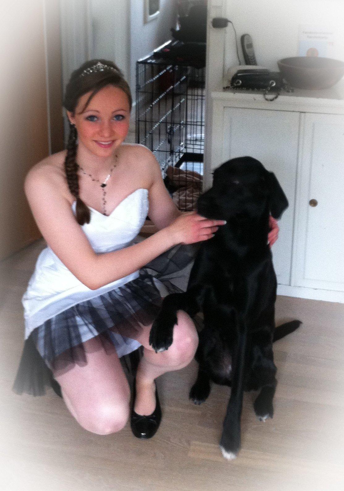 Blanding af racer Bell (labrador/boxer) - Konfirmation 26-4-2013  billede 13