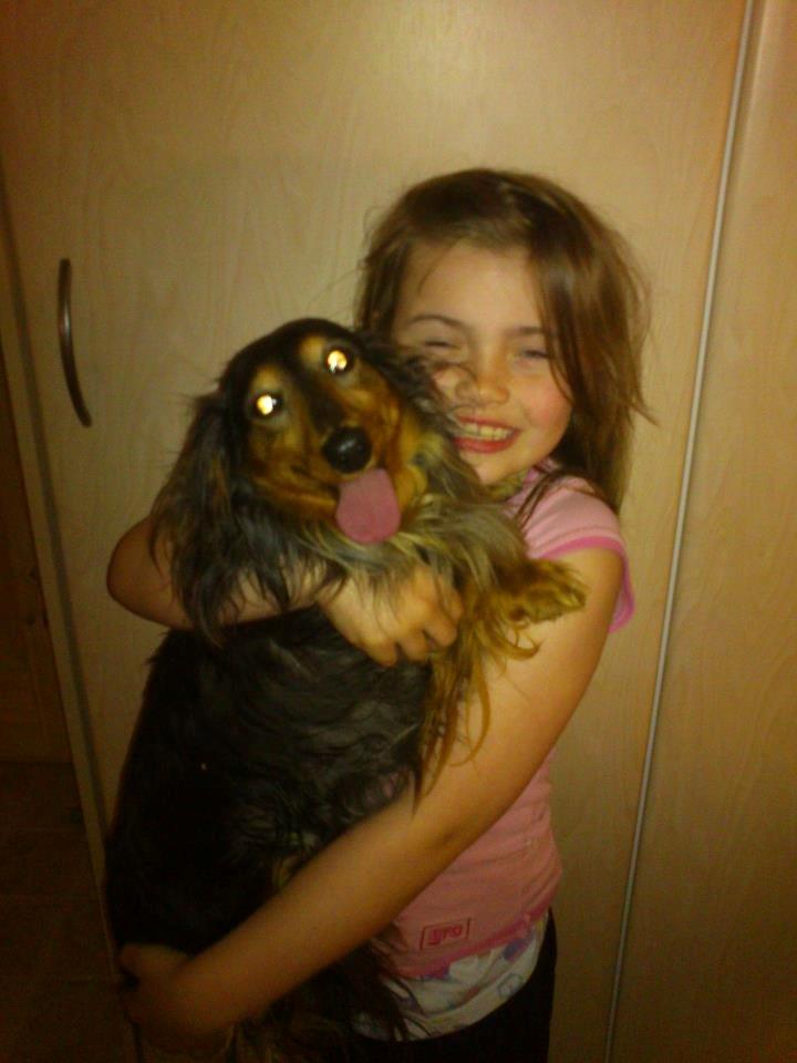 Gravhund Emma billede 2