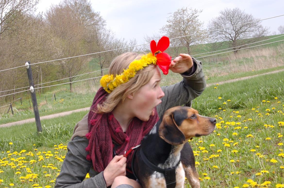 Blanding af racer Jasper - hvem hvad hvor?!(min ven silje er med jasper) billede 13