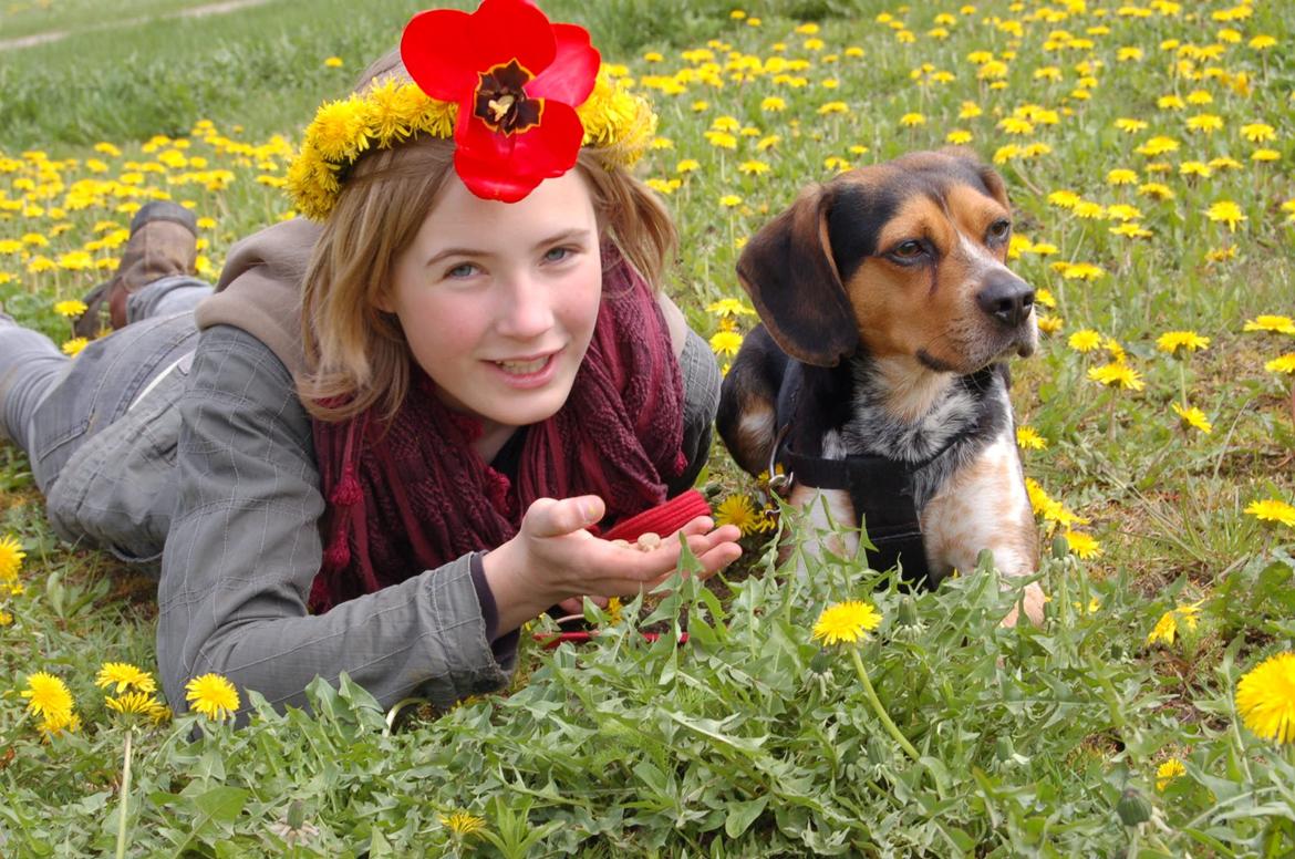 Blanding af racer Jasper - ingen fokus på guf :) (og silje er der igen :D) billede 16