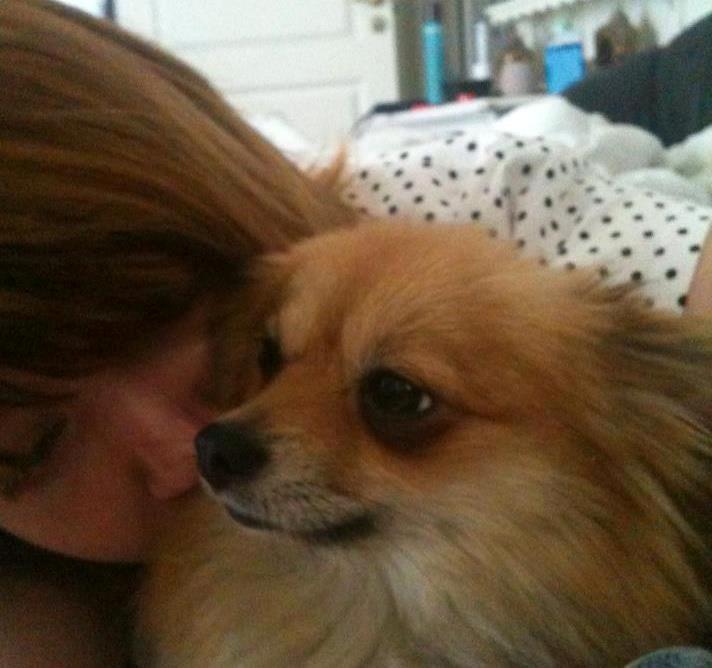 Pomeranian Foxy - Min Foxy'mor & mig da hun var gravid <3 billede 1