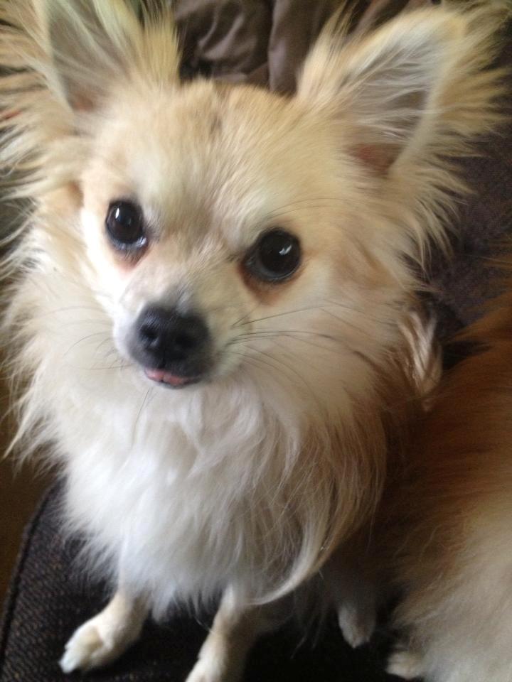 Blanding af racer Freddy - Freddy <3 billede 1