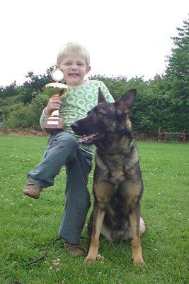 Schæferhund Studsdal Aida billede 10