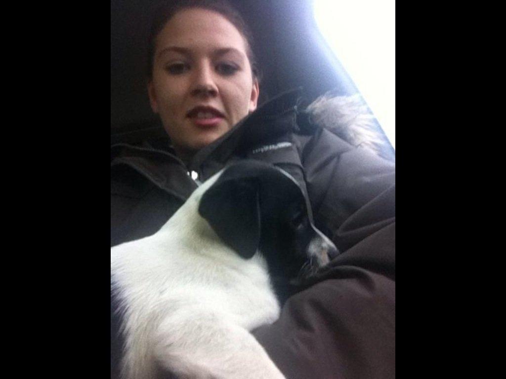 Blanding af racer Frank billede 8