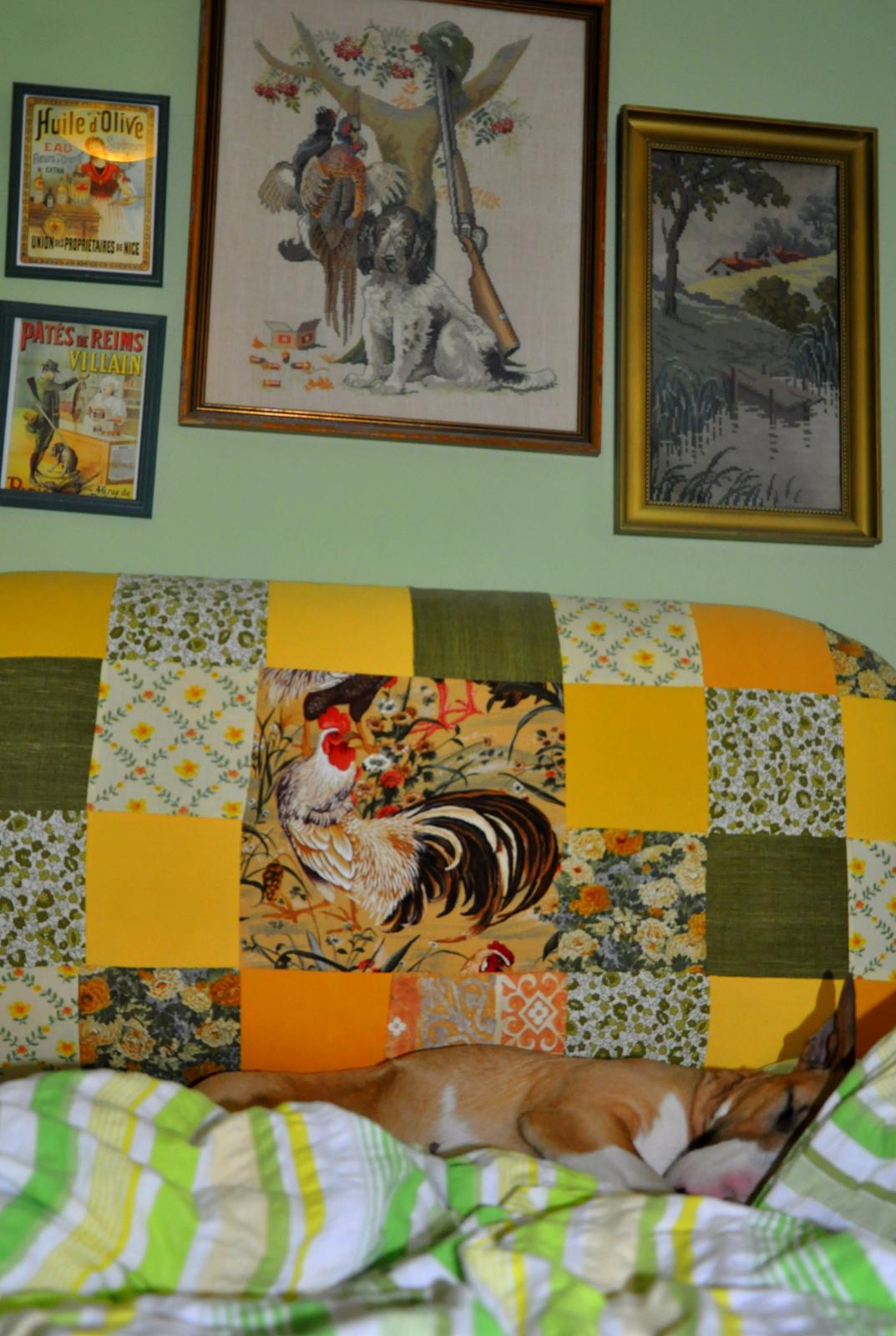 Bullterrier Zula (Steadfast Dangerous Game) billede 6