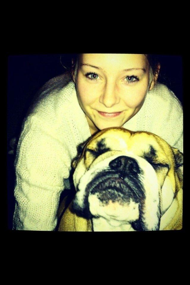 Engelsk bulldog Bella billede 2