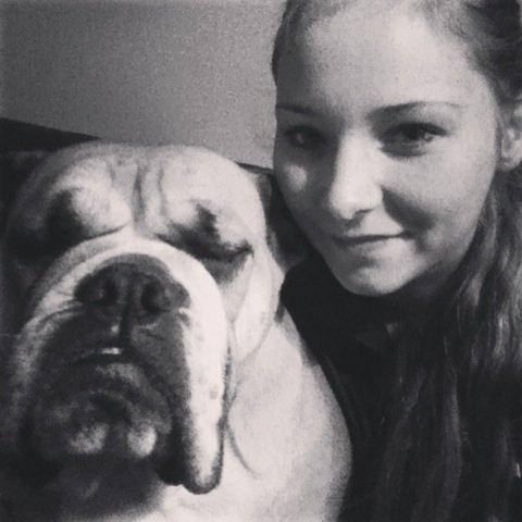 Engelsk bulldog Bella billede 7