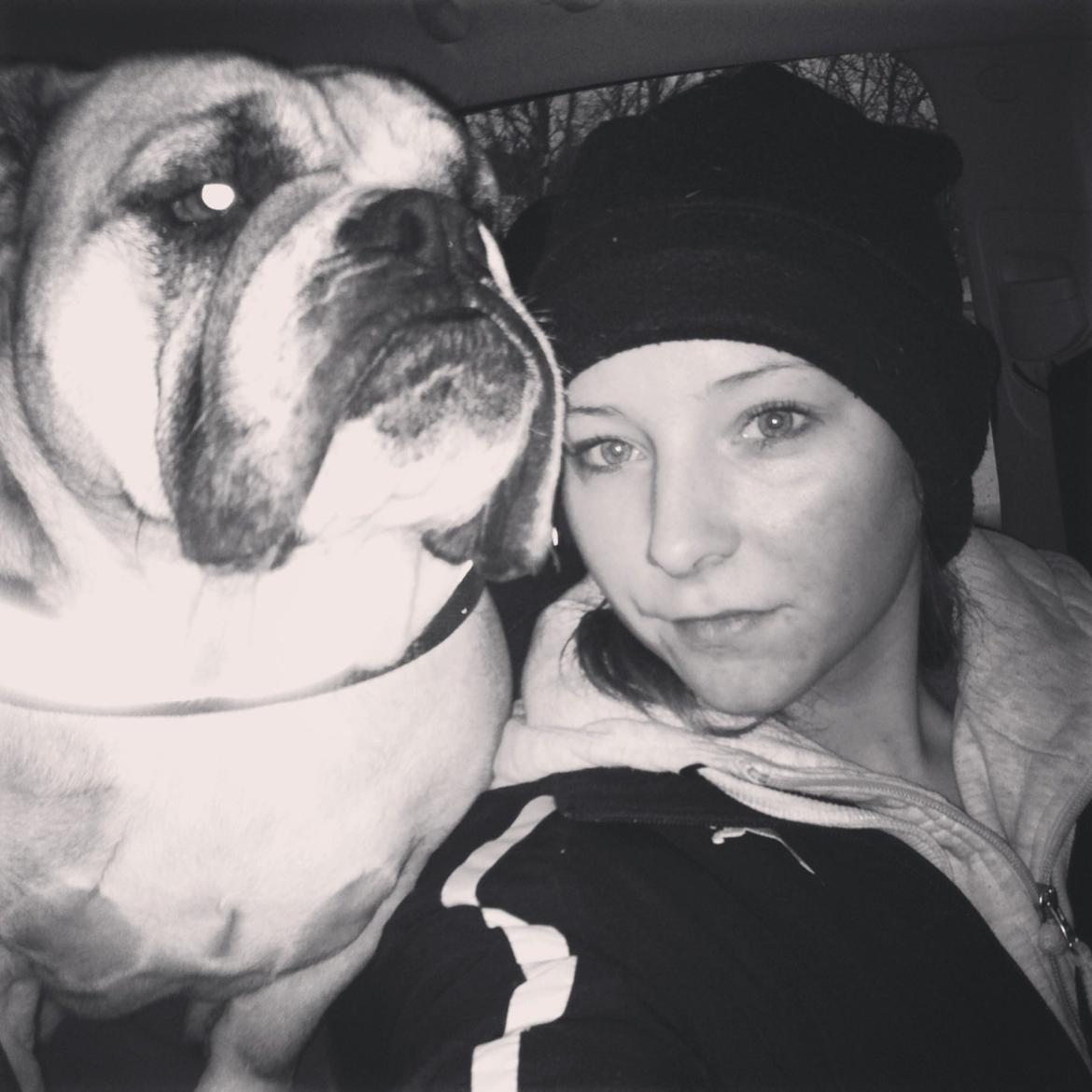 Engelsk bulldog Bella billede 11