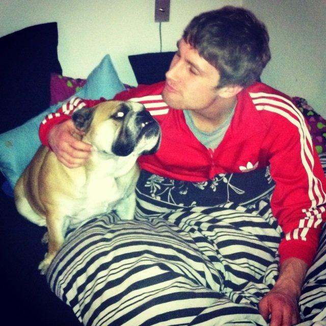 Engelsk bulldog Bella billede 15