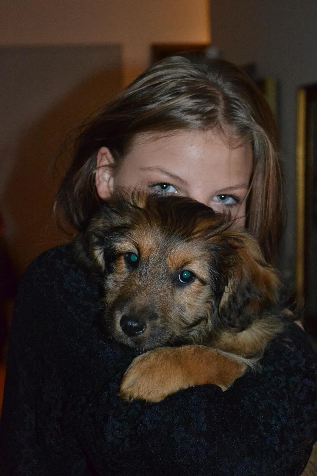 Blanding af racer Chewbacca (Chewie) billede 8