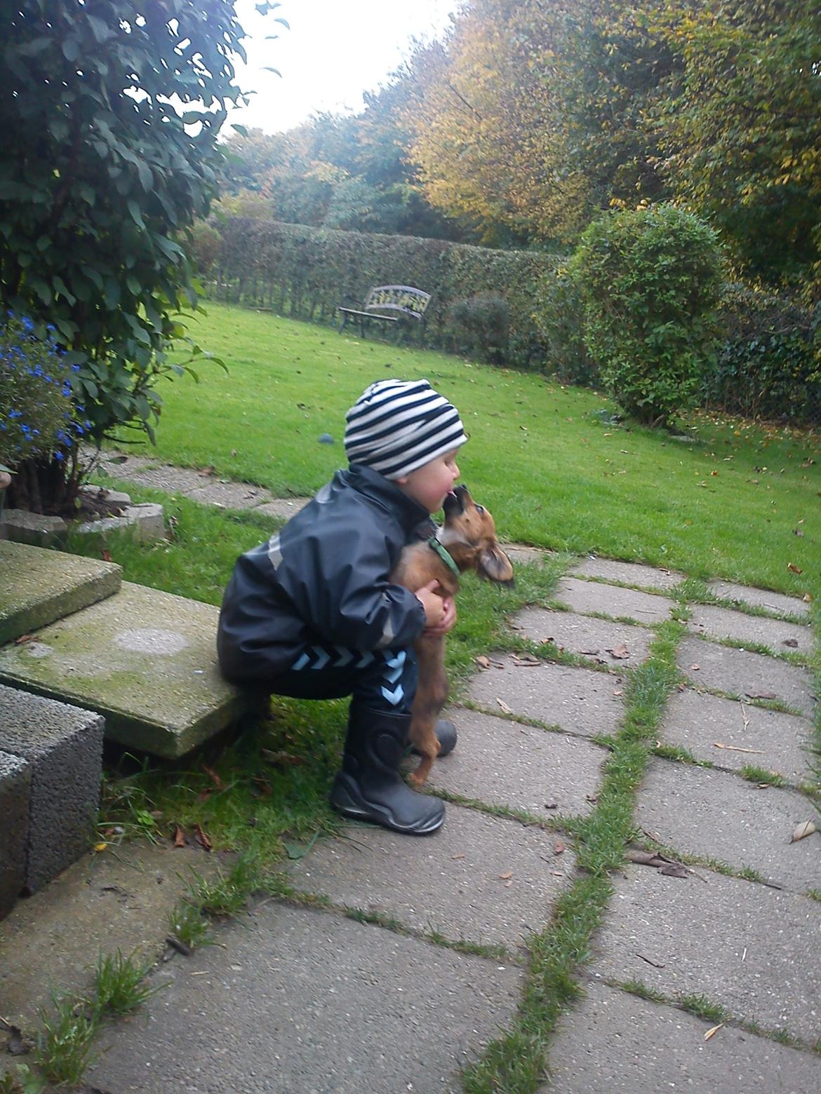 Blanding af racer Tumle billede 15