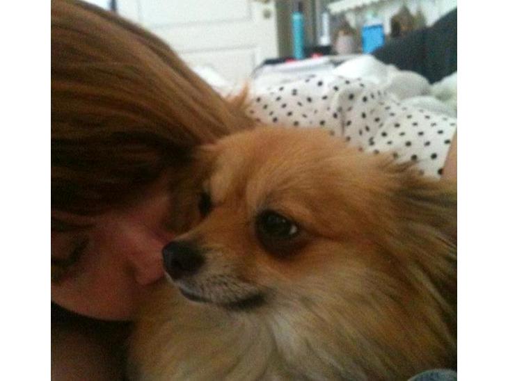 Pomeranian Foxy - Min Foxy'mor & mig da hun var gravid <3 billede 1