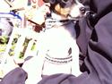 Dansk svensk gaardhund Lady my soulmate<3