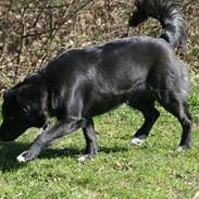 Blanding af racer Kom Så Nana