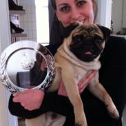 Mops Oscar