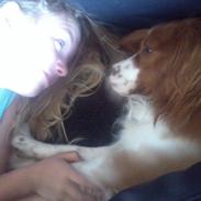 Blanding af racer Robin<33