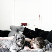 Lagotto romagnolo Etienne