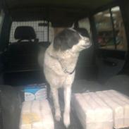 Blanding af racer joy