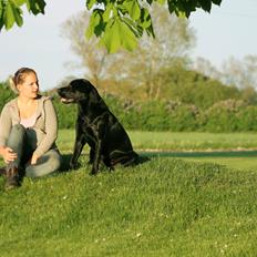 Blanding af racer Fredenslund's Andy