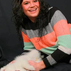 Japansk spids Snowey