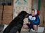 Rottweiler Fafner<3 |Faffe'laffe|<3 - 2013