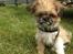 Blanding af racer Bella - 30-05-2013