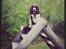 Engelsk springer spaniel Arki