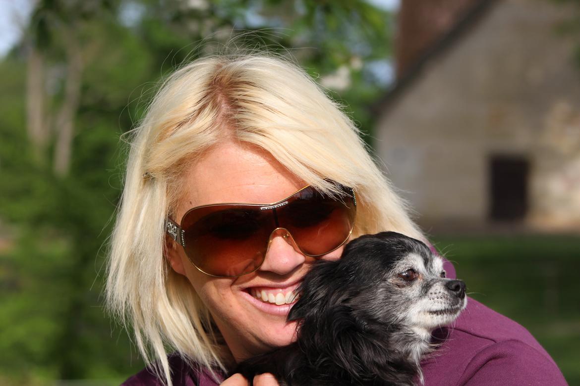 Chihuahua Tinkerbell De La Bella De Luna - tulle og mor i broholms park maj 2013 billede 4