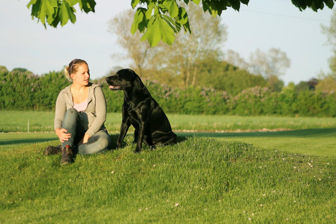 Blanding af racer Fredenslund's Andy billede 2