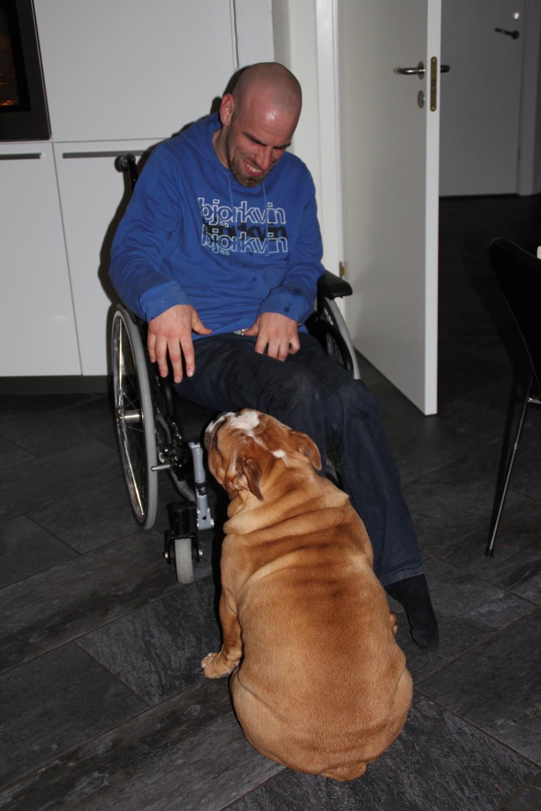 Engelsk bulldog Nobozz Maximus aka Maxi Børge - Besøg af Jesper, Jesper er bare sød. billede 7