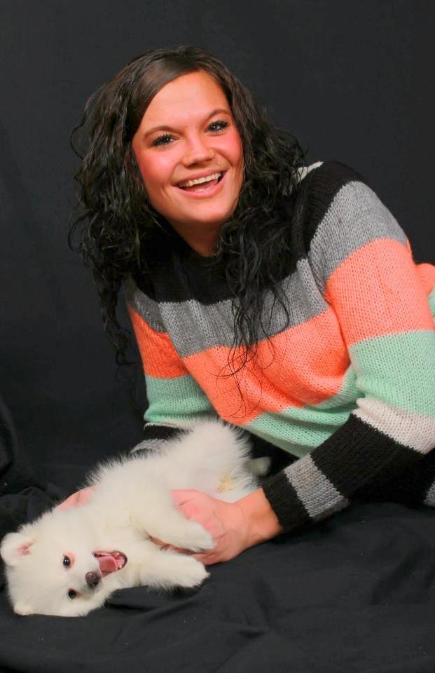 Japansk spids Snowey billede 1