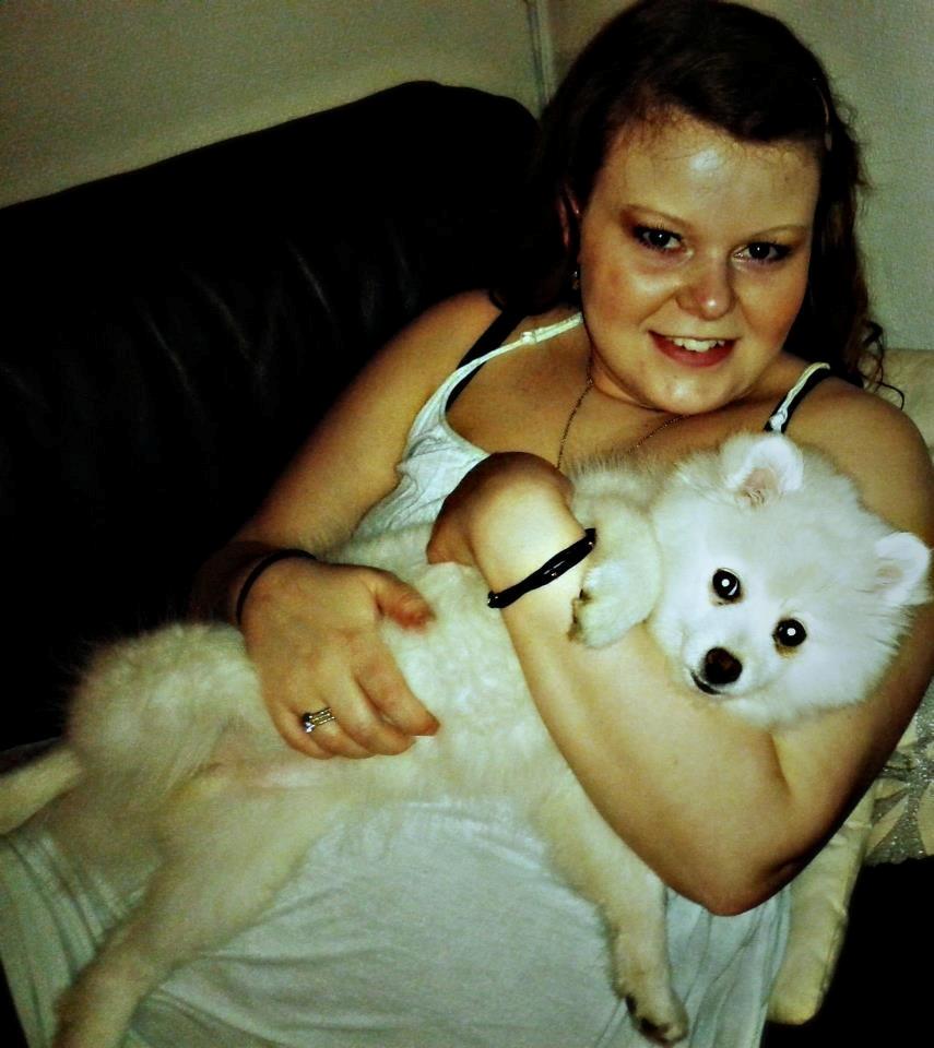 Japansk spids Snowey billede 2