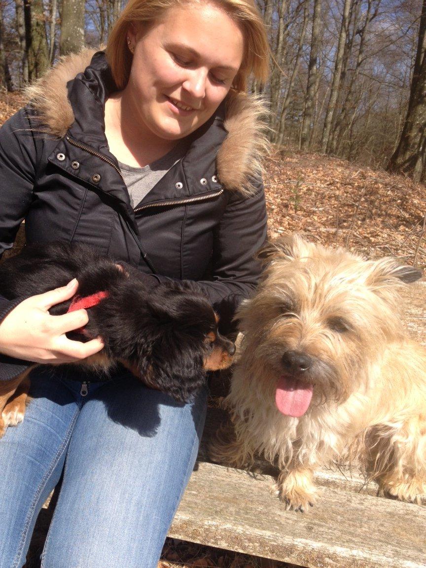 Blanding af racer Stella - Stella og Topper <3 billede 18