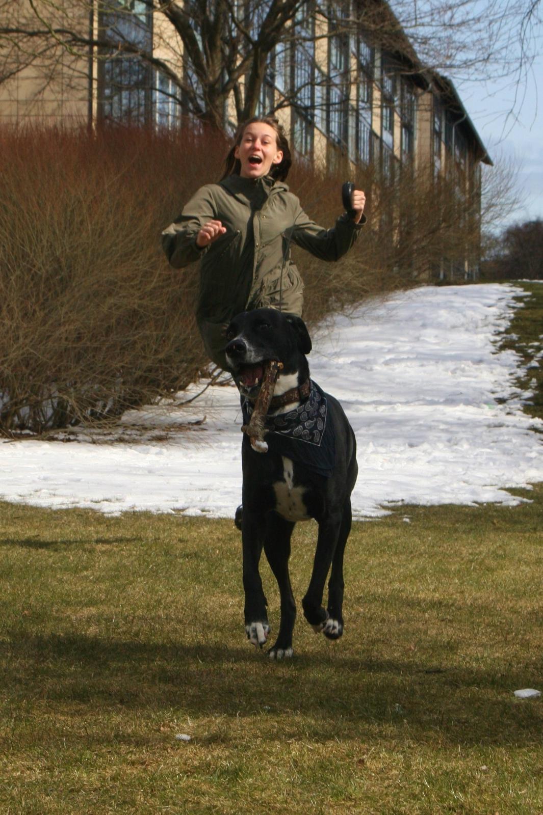 Blanding af racer Chico - Hunden og min moster er i fjollehumør <3 billede 14