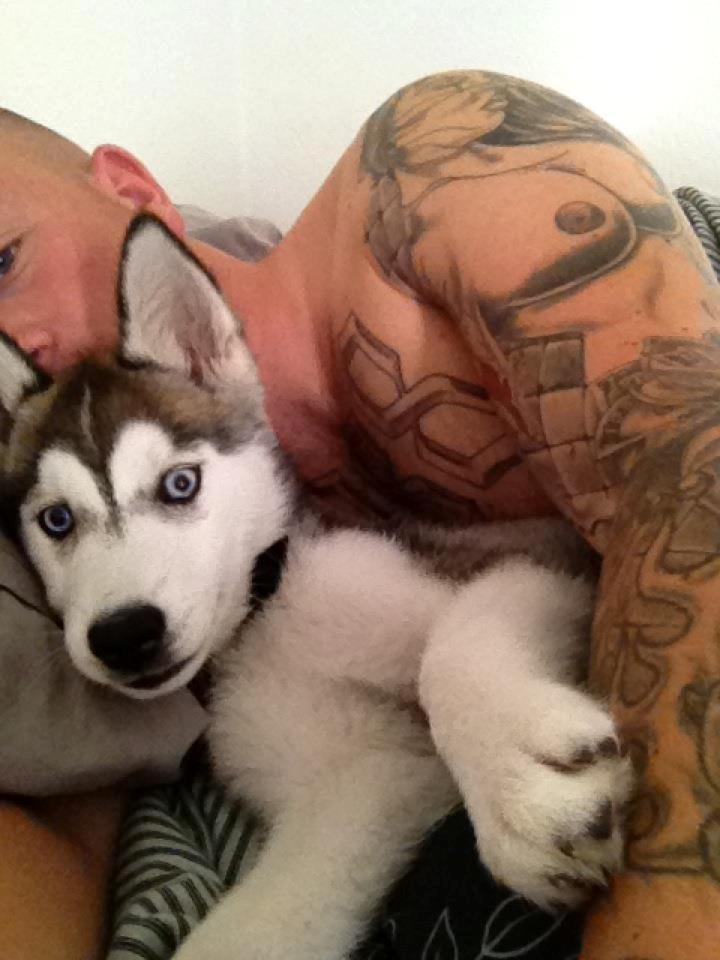 Siberian husky Chili ("Lee") - Morgen putning  billede 9