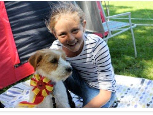 Kromfohrländer Betty billede 13