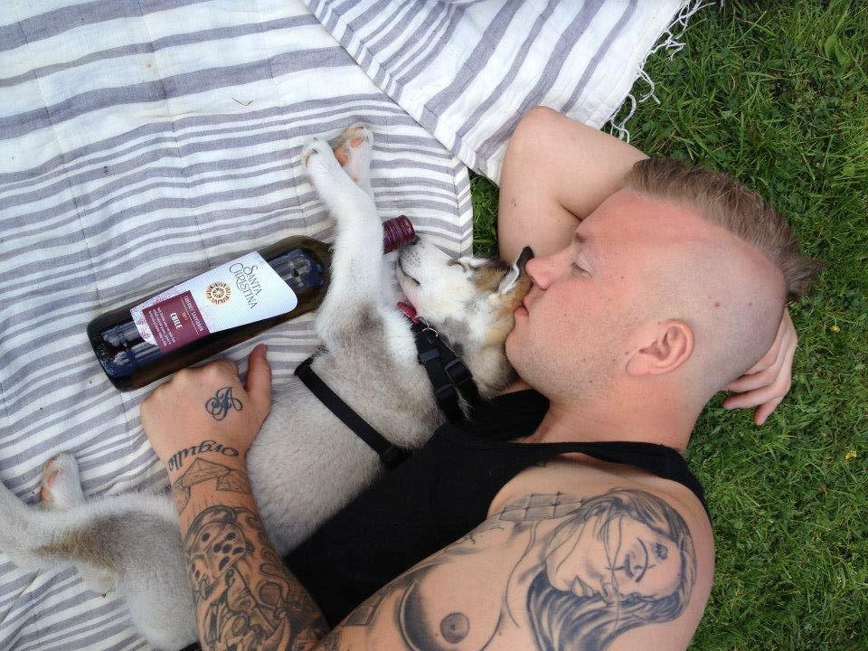 Siberian husky Chili ("Lee") billede 5