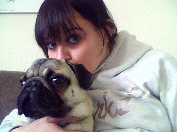 Mops Zacho billede 3