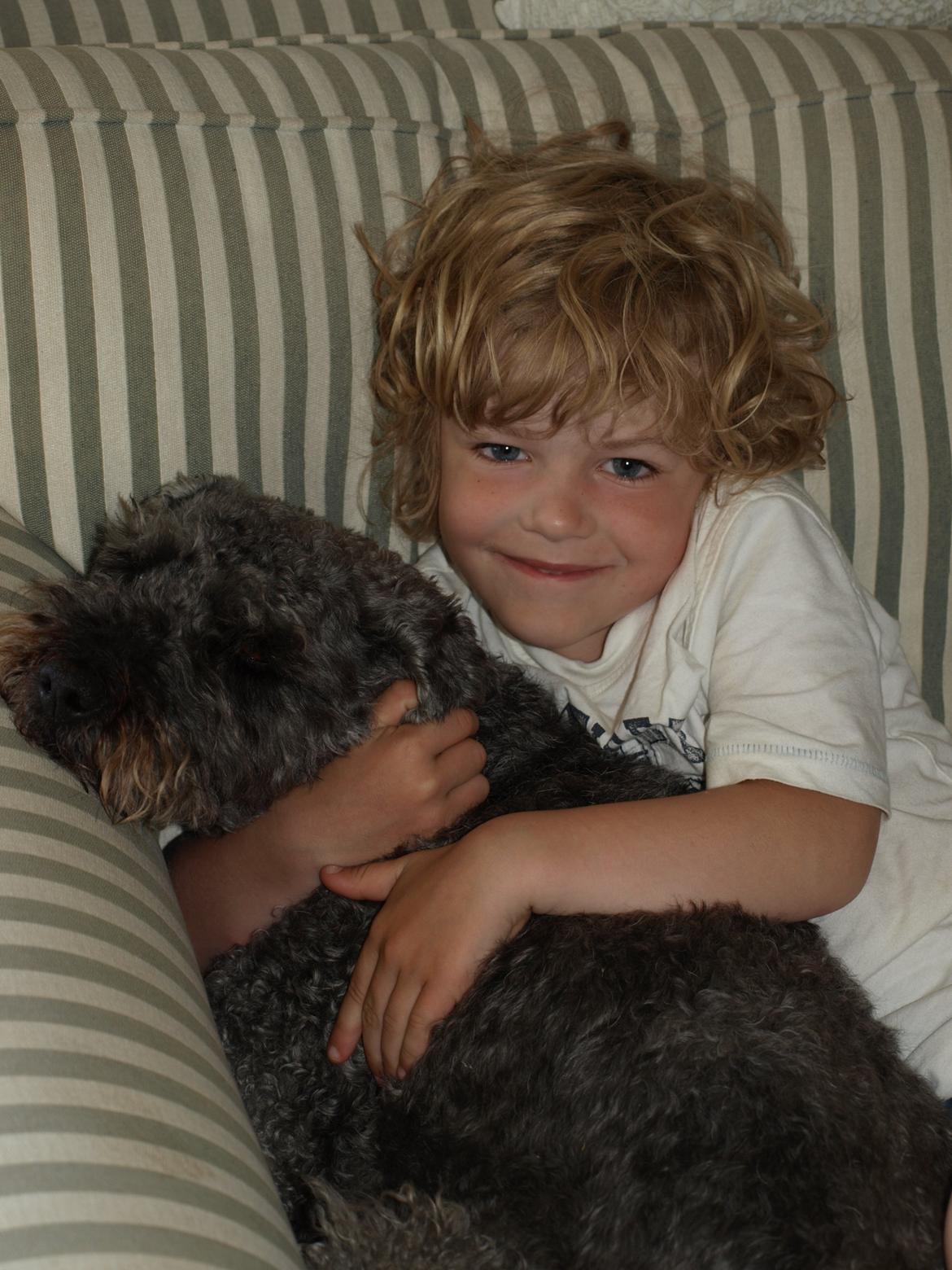 Lagotto romagnolo Etienne billede 4