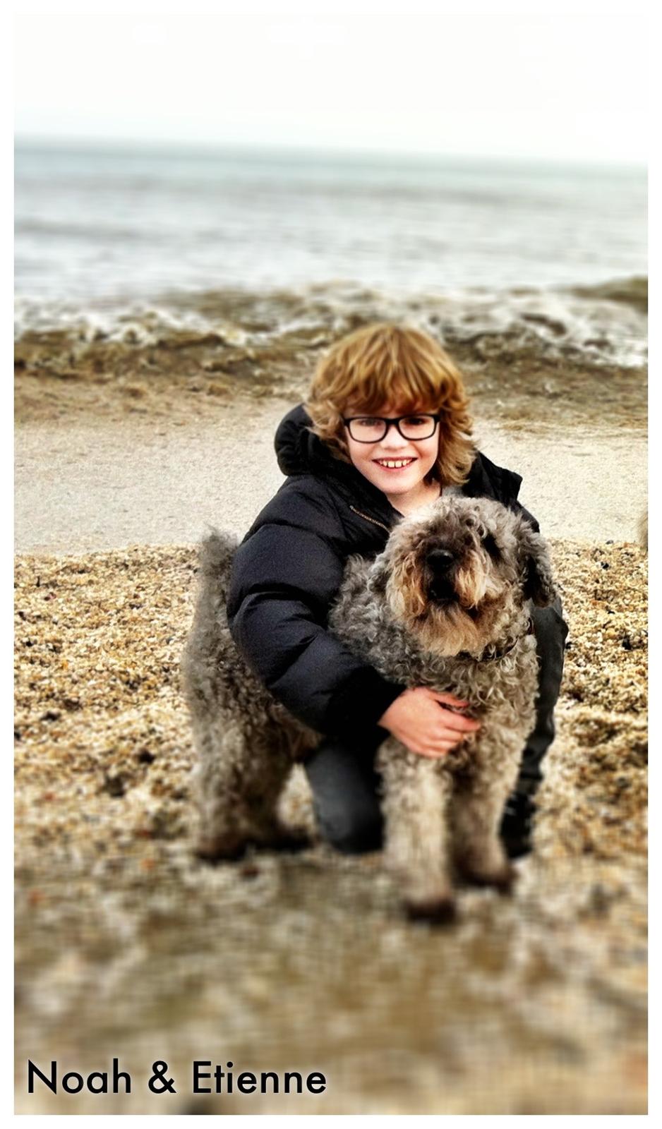 Lagotto romagnolo Etienne billede 3